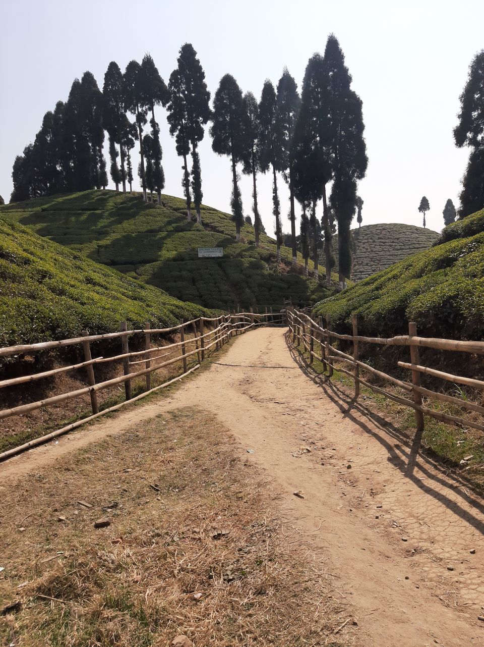Photo of Mirik, West Bengal, India by Sonali Majumder