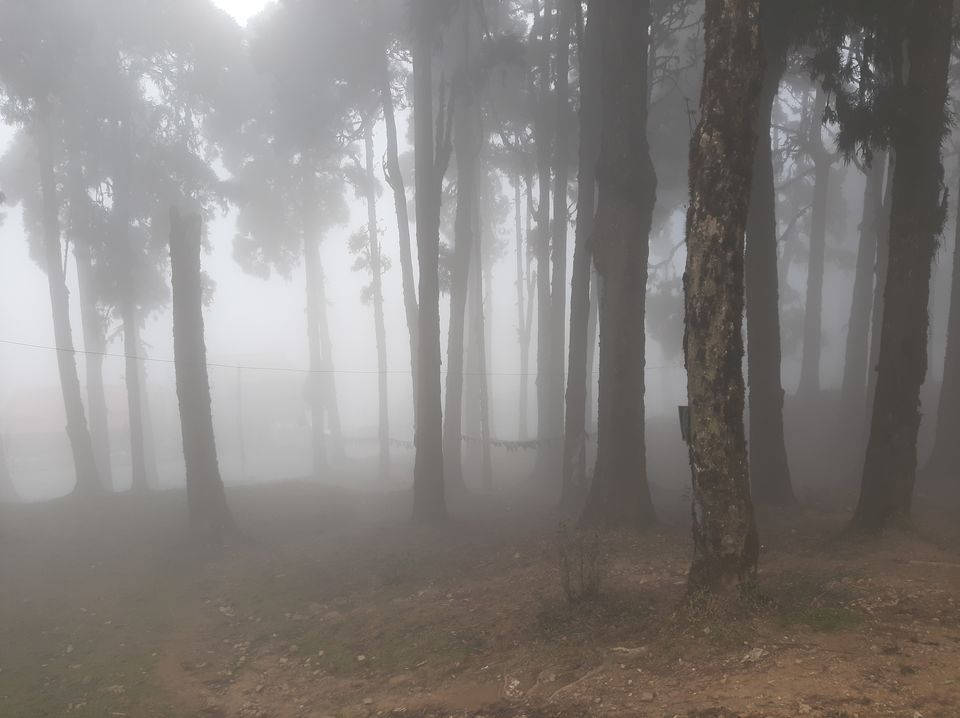 Photo of Lepchajagat- where nature meets your soul #Lockdown by Sonali Majumder
