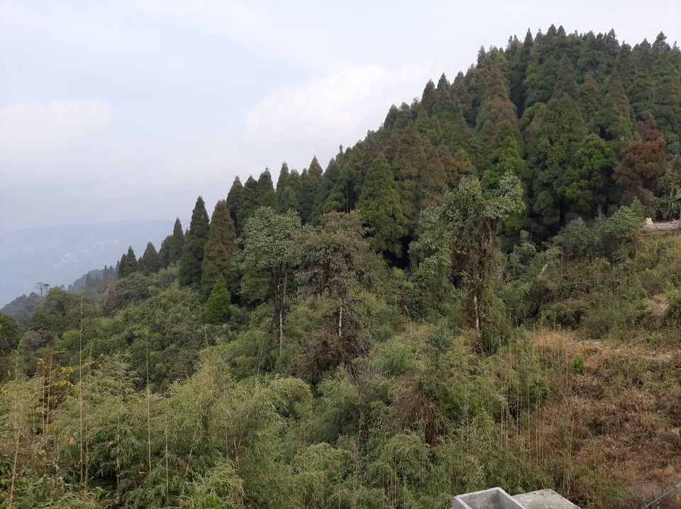 Photo of Lepchajagat Homestay, Lepcha Jagat, West Bengal, India by Sonali Majumder