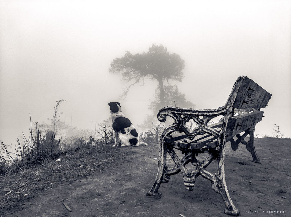 Photo of Lepchajagat- where nature meets your soul #Lockdown by Sonali Majumder