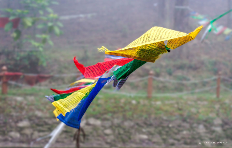 Photo of Lamahatta Eco Park, Tukdah, West Bengal, India by Sonali Majumder
