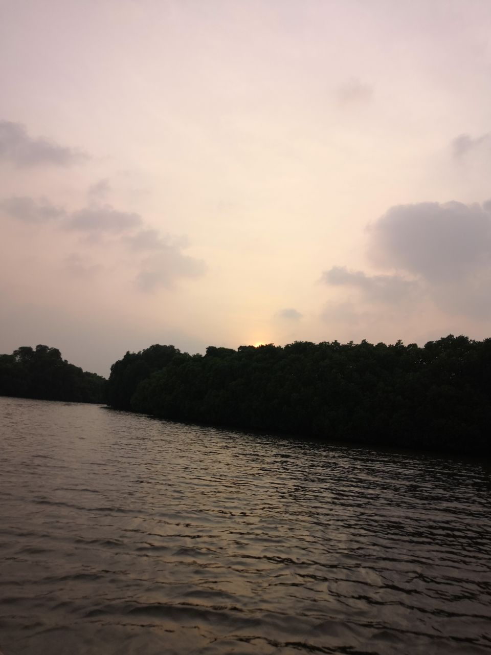Photo of Pichavaram Mangrove Forest, Pichavaram, Tamil Nadu, India by doc shana