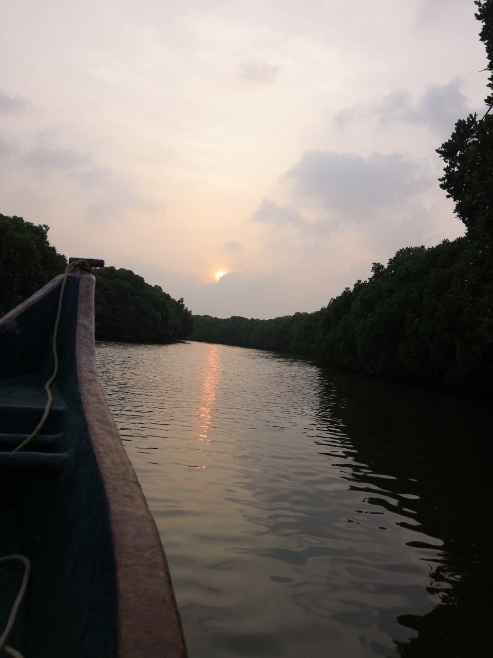 Photo of Pichavaram Mangrove Forest, Pichavaram, Tamil Nadu, India by doc shana