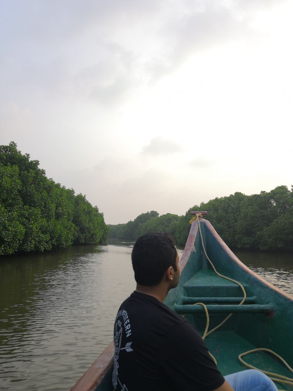Photo of Pichavaram Mangrove Forest, Pichavaram, Tamil Nadu, India by doc shana