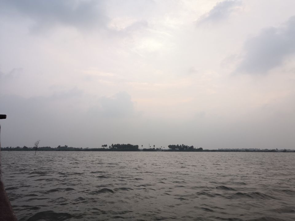 Photo of Pichavaram Mangrove Forest, Pichavaram, Tamil Nadu, India by doc shana