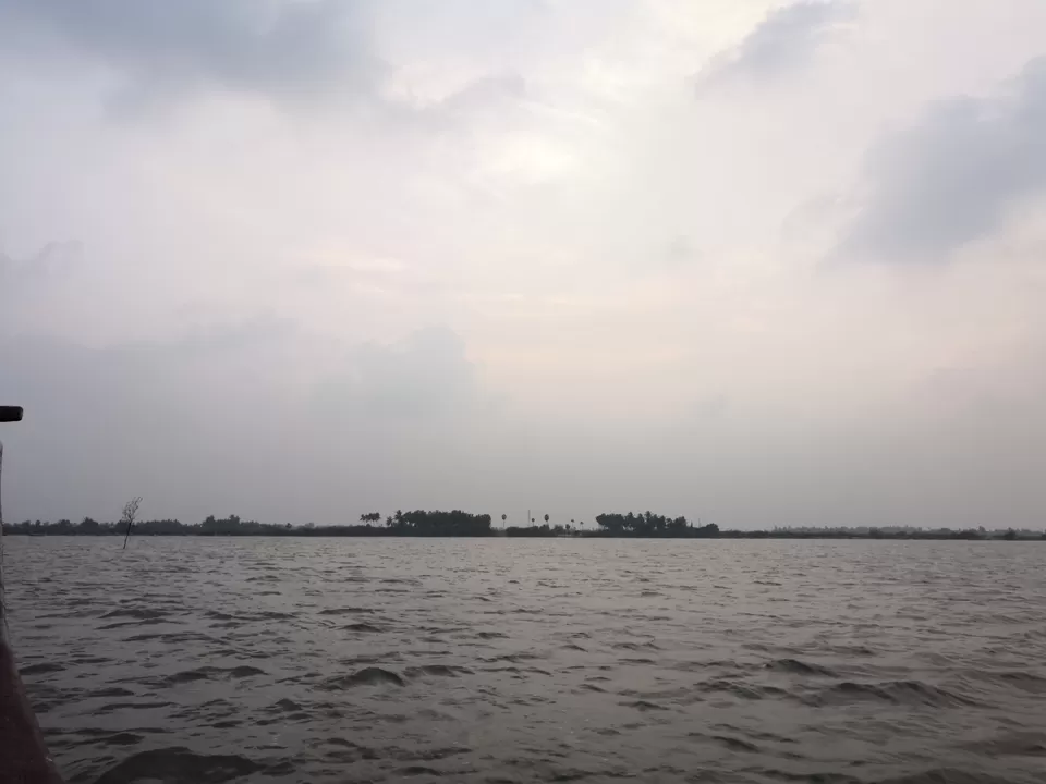 Photo of Pichavaram Mangrove Forest, Pichavaram, Tamil Nadu, India by doc shana