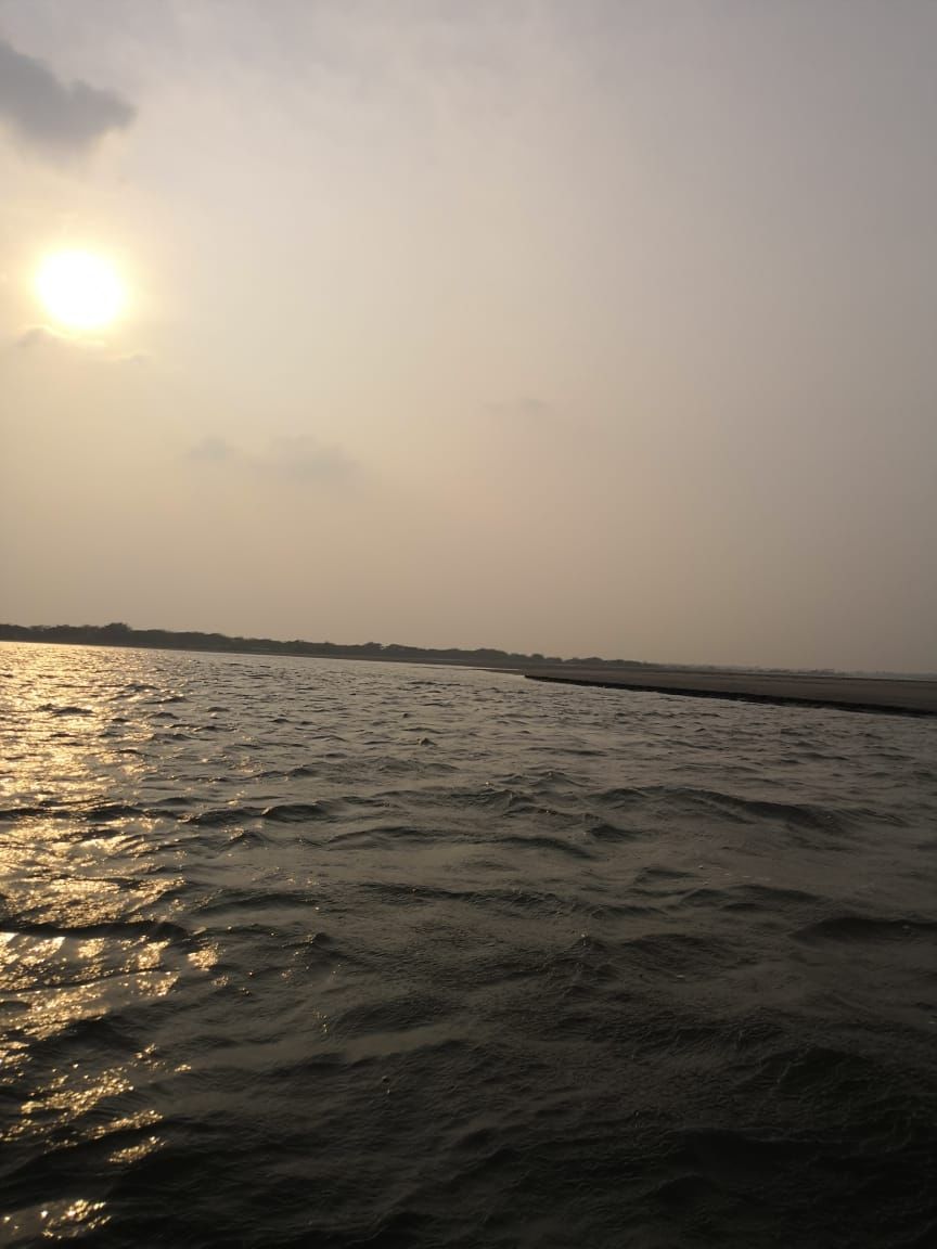 Photo of Pichavaram Mangrove Forest, Pichavaram, Tamil Nadu, India by doc shana