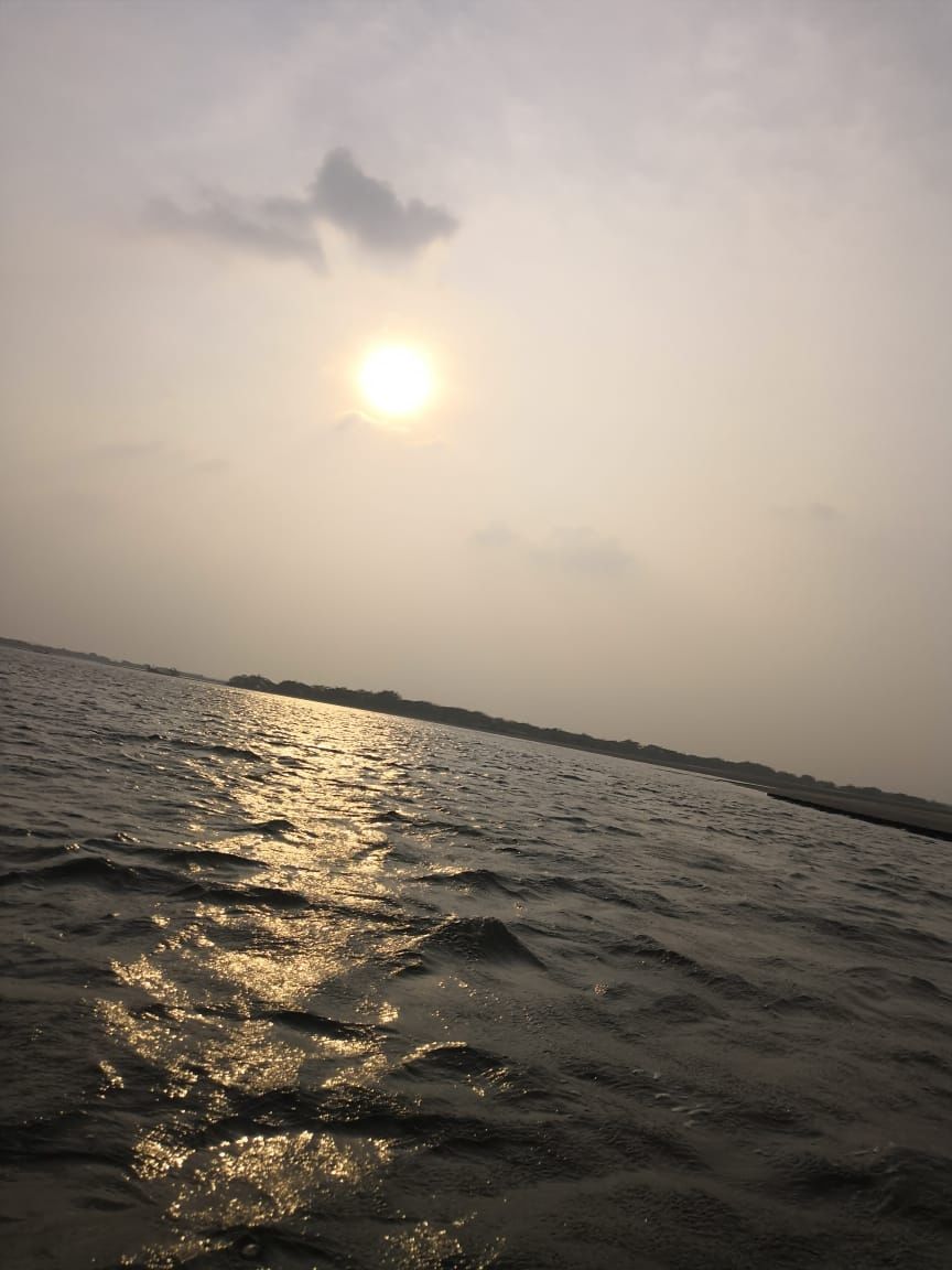 Photo of Pichavaram Mangrove Forest, Pichavaram, Tamil Nadu, India by doc shana