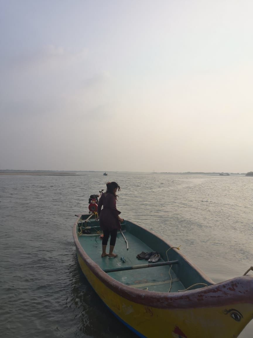 Photo of Pichavaram Mangrove Forest, Pichavaram, Tamil Nadu, India by doc shana