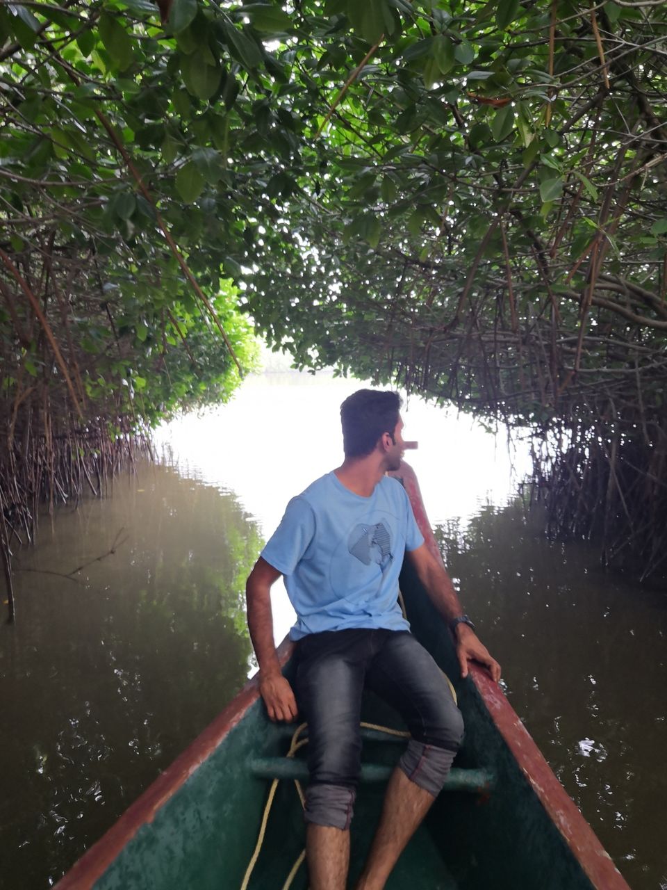 Photo of Pichavaram Mangrove Forest, Pichavaram, Tamil Nadu, India by doc shana