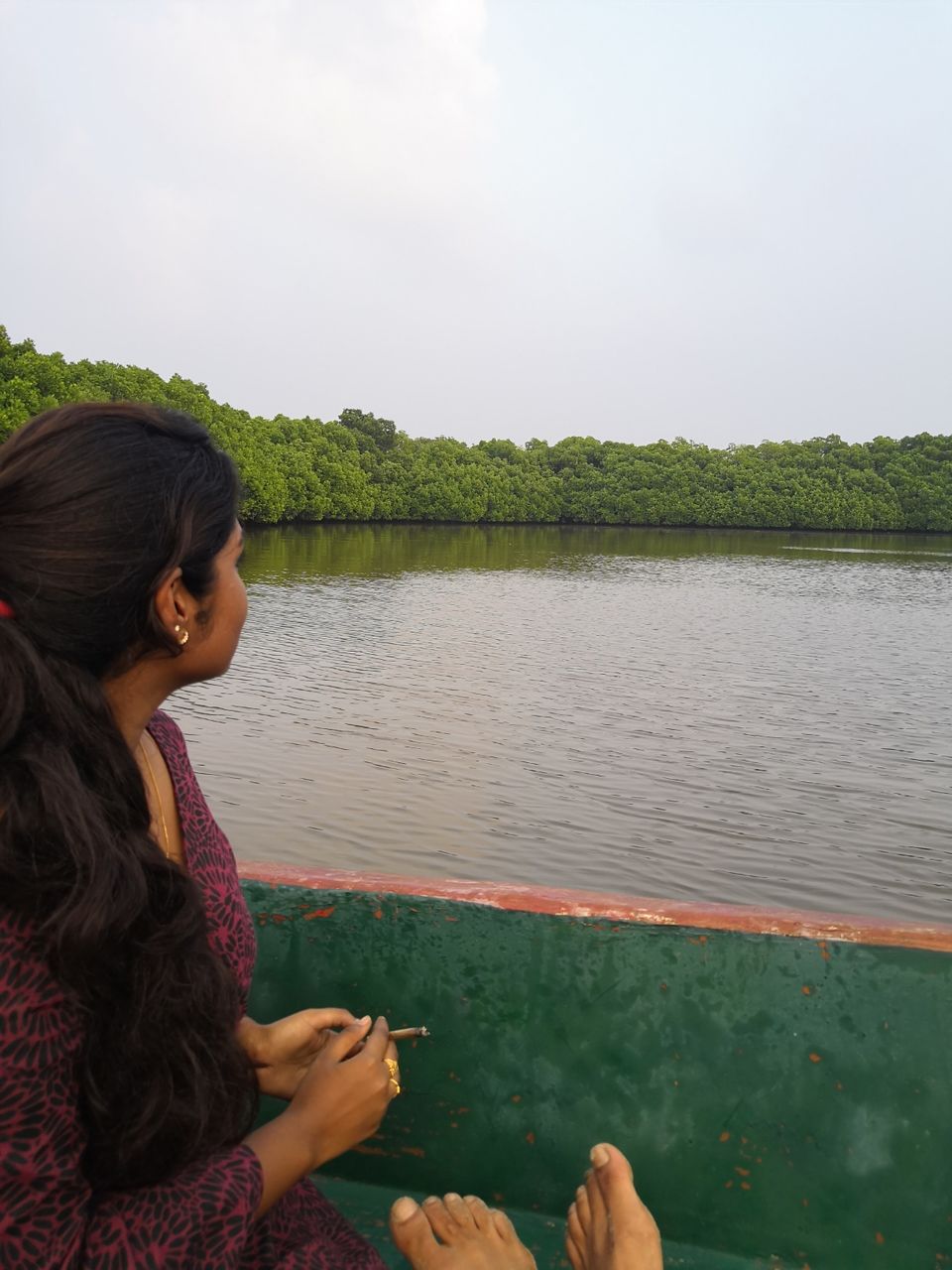 Photo of Pichavaram Mangrove Forest, Pichavaram, Tamil Nadu, India by doc shana