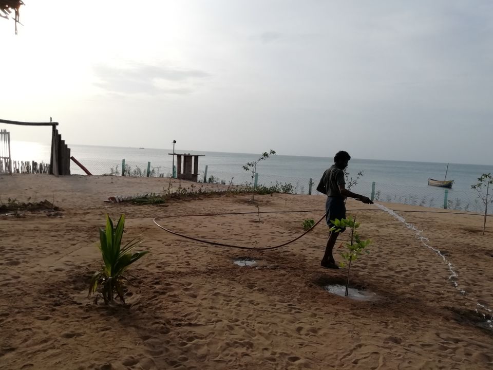 Photo of Rameswaram, Tamil Nadu, India by doc shana