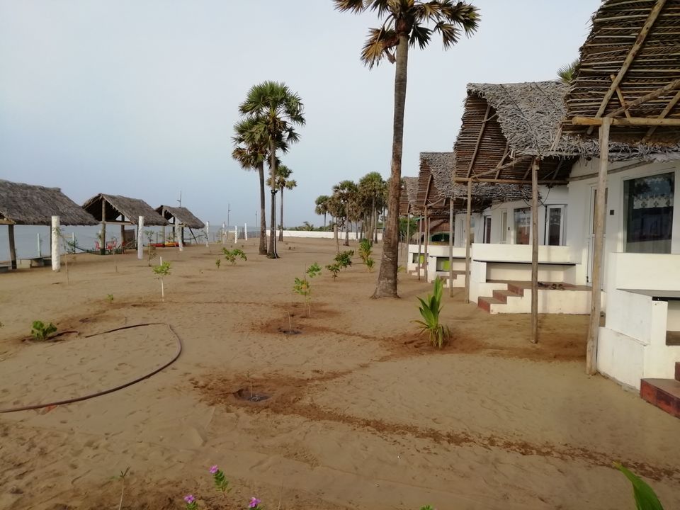 Photo of Rameswaram, Tamil Nadu, India by doc shana