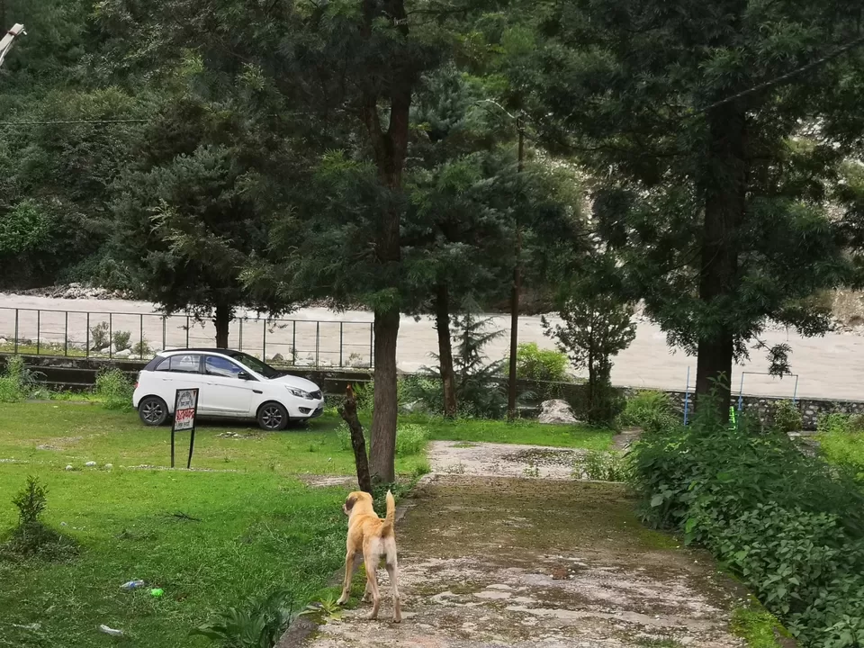 Photo of Netala, Uttarakhand, India by doc shana