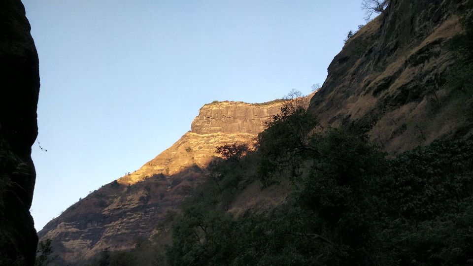 Photo of The magic that is Sandhan Valley 4/6 by Sayali Kasar