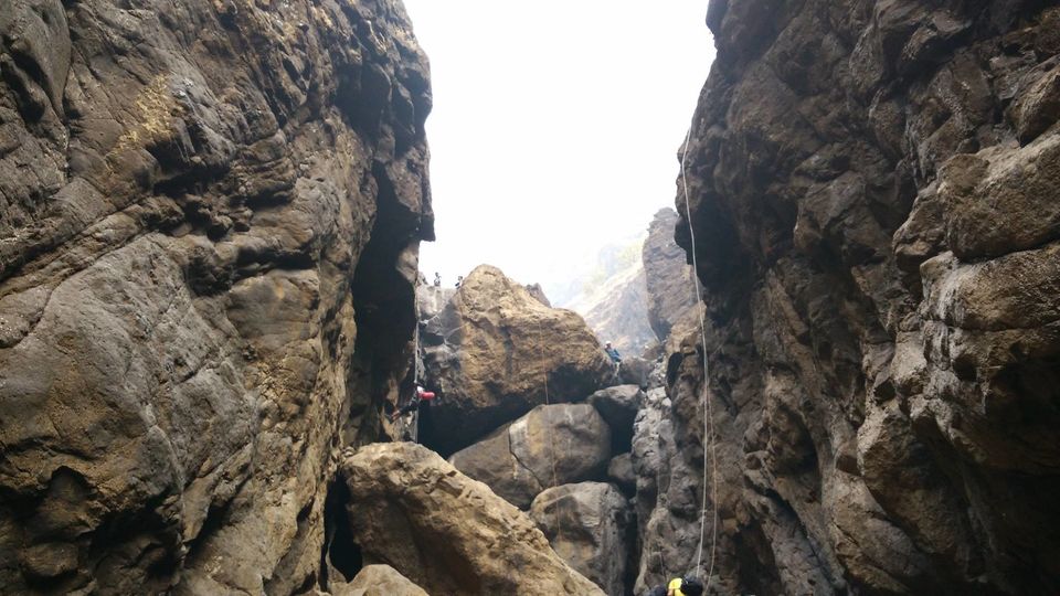 Photo of The magic that is Sandhan Valley 5/6 by Sayali Kasar