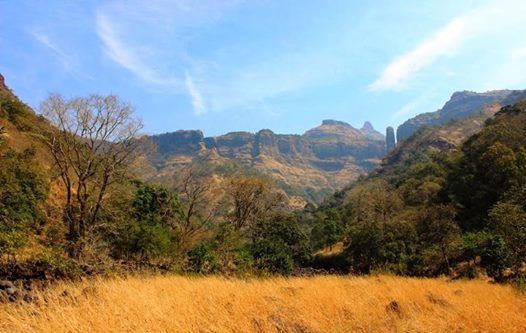 Photo of The magic that is Sandhan Valley 6/6 by Sayali Kasar