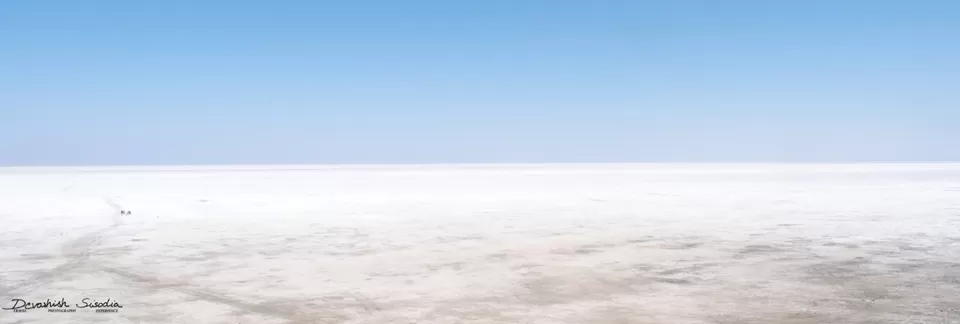 Photo of The Great White Rann by devashish sisodia