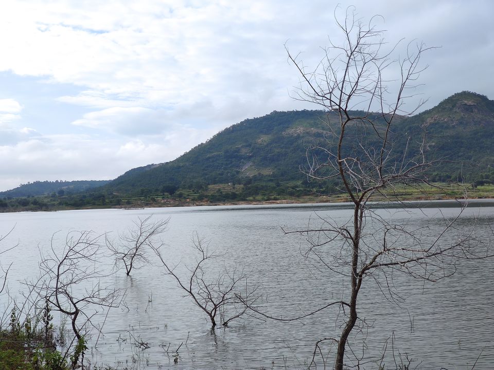 Photo of From Bangalore traffic to Natures lap by Travel Buddy