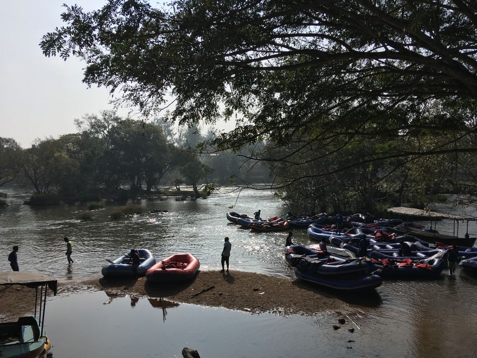 Photo of Dubare Elephant Camp, Dubare Road, Rangasamudra, Karnataka, India by Rohit unnikrishnan