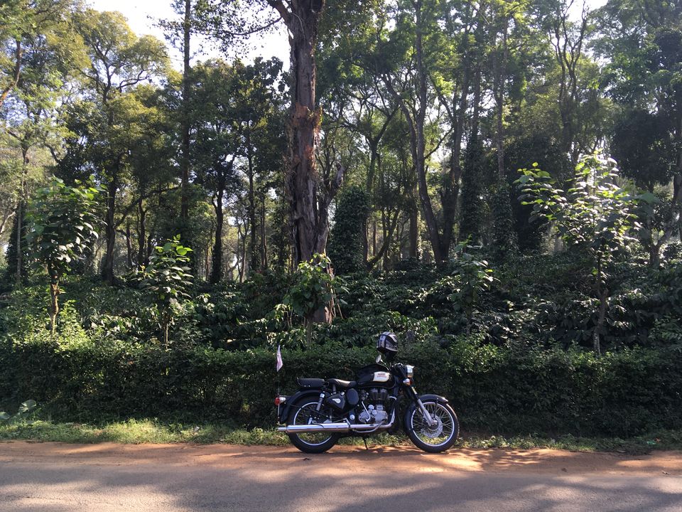Photo of Wayanad, Kerala, India by Rohit unnikrishnan