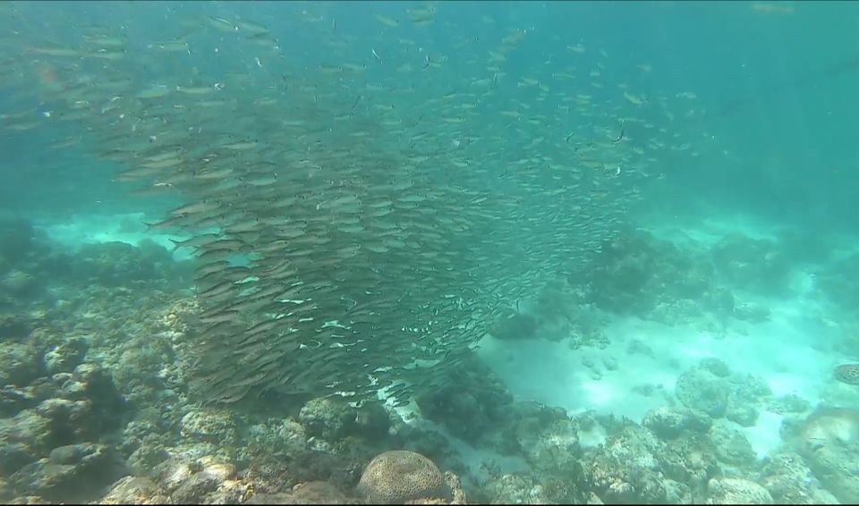 Photo of Moalboal, Cebu, Philippines by Vikas Aryan