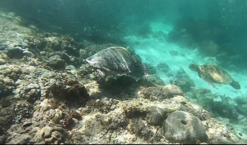 Photo of Moalboal, Cebu, Philippines by Vikas Aryan