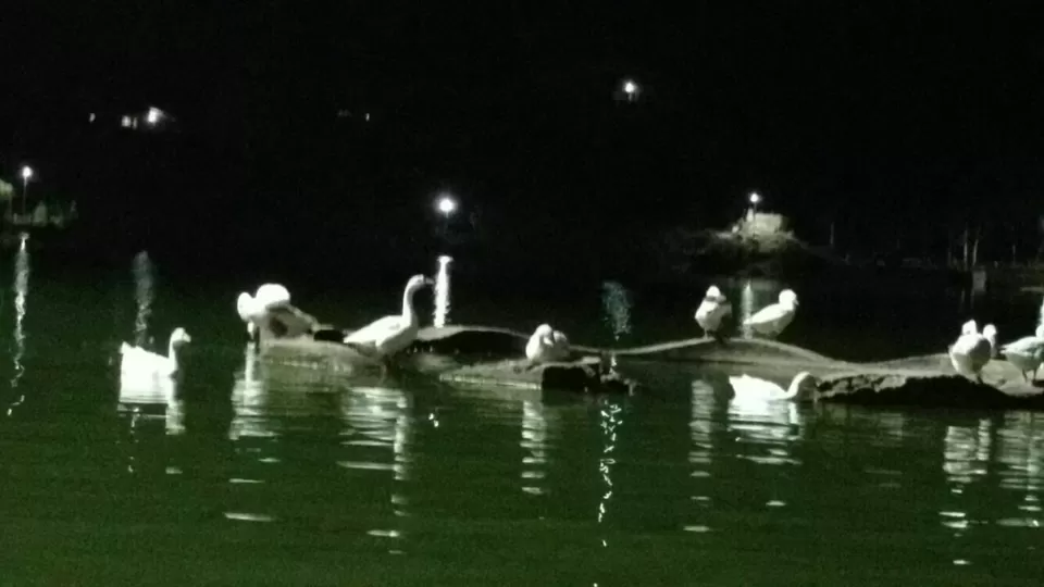 Photo of Nakki Lake, Mount Abu, Rajasthan, India by Prateek Mehta
