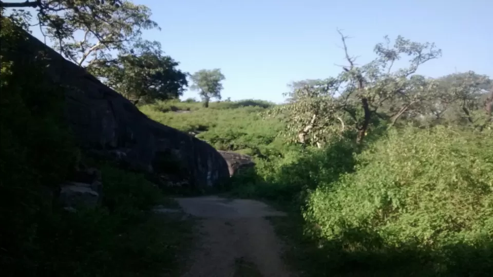 Photo of Forest Trekking @ St. Mary's School by Prateek Mehta
