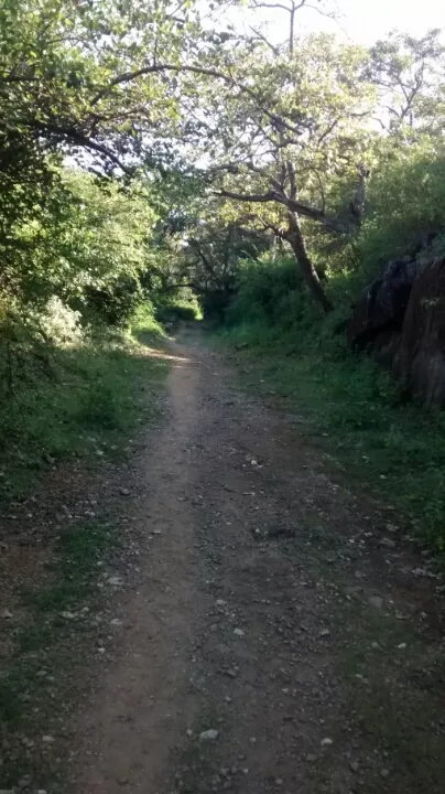 Photo of Forest Trekking @ St. Mary's School by Prateek Mehta