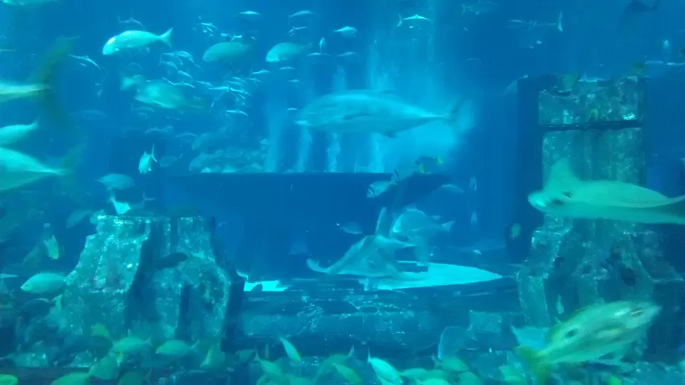 Photo of The Atlantis City by Prateek Mehta