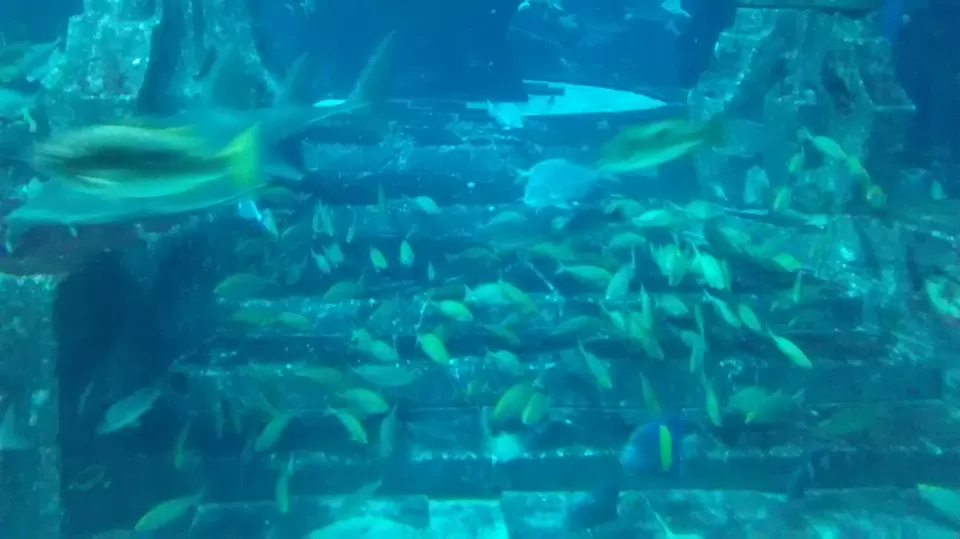 Photo of The Atlantis City by Prateek Mehta