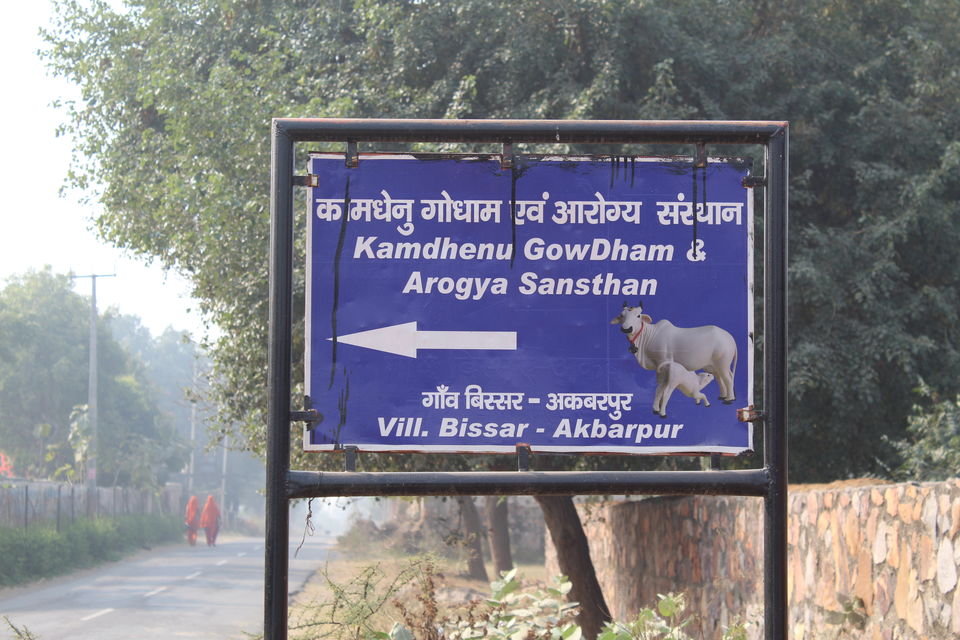 Photo of Gurugram, Haryana, India by Jyoti Thakral
