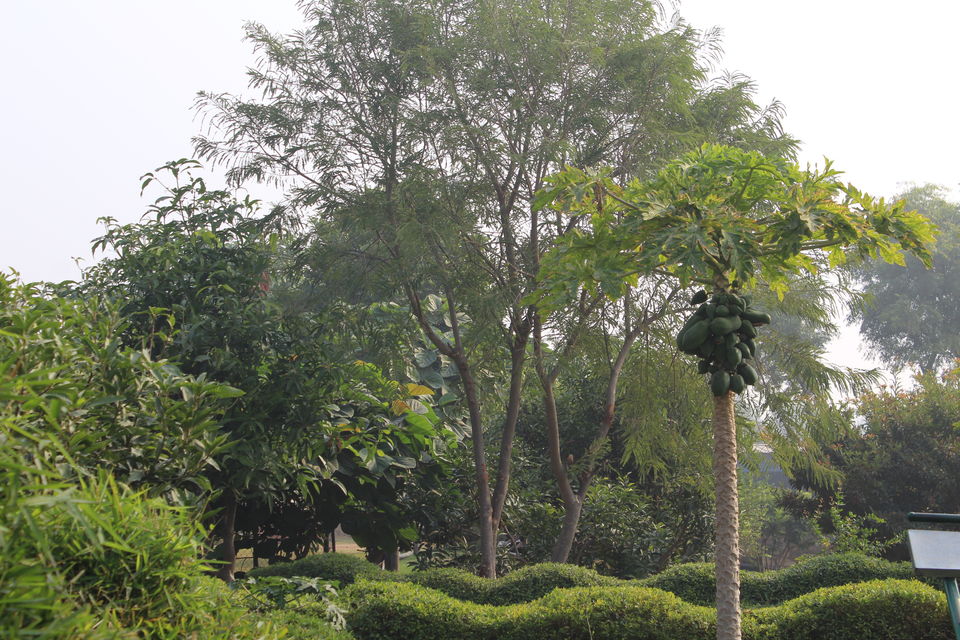 Photo of Bissar Akbarpur, Haryana, India by Jyoti Thakral
