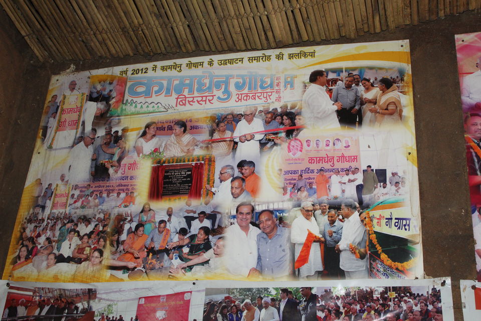 Photo of A Day well spent at Kamdhenu GauDham by Jyoti Thakral