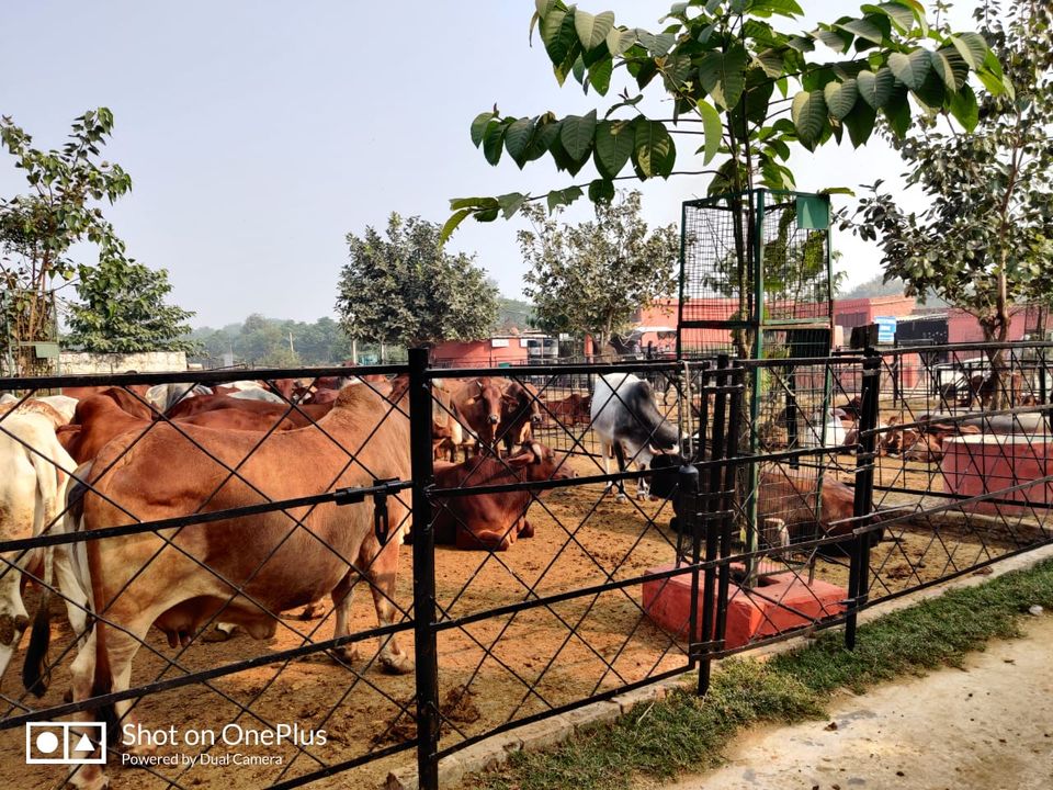 Photo of Bissar Akbarpur, Haryana, India by Jyoti Thakral