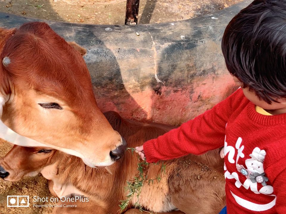 Photo of A Day well spent at Kamdhenu GauDham by Jyoti Thakral