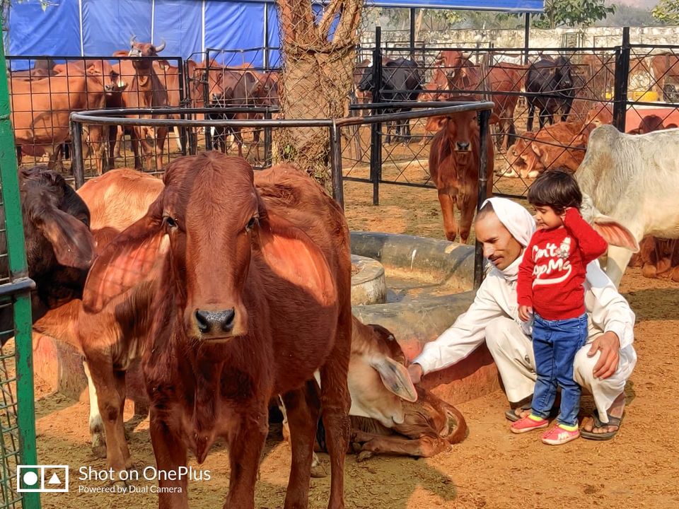 Photo of A Day well spent at Kamdhenu GauDham by Jyoti Thakral