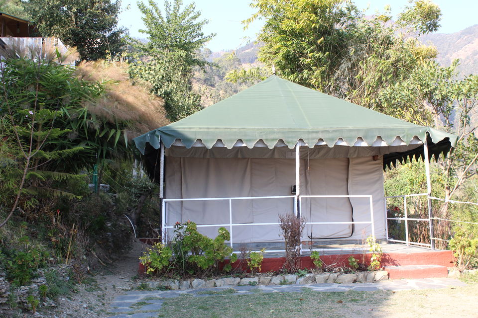 Photo of PANGOT| Nature Drops Resort | A complete guide to this hidden gem in Uttarakhand.... by Jyoti Thakral