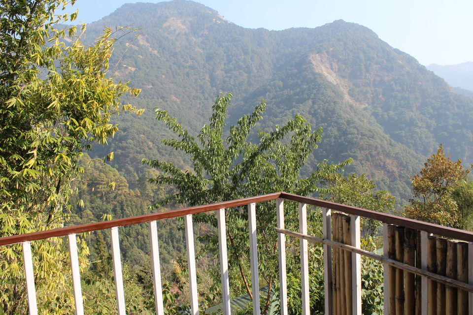 Photo of PANGOT| Nature Drops Resort | A complete guide to this hidden gem in Uttarakhand.... by Jyoti Thakral