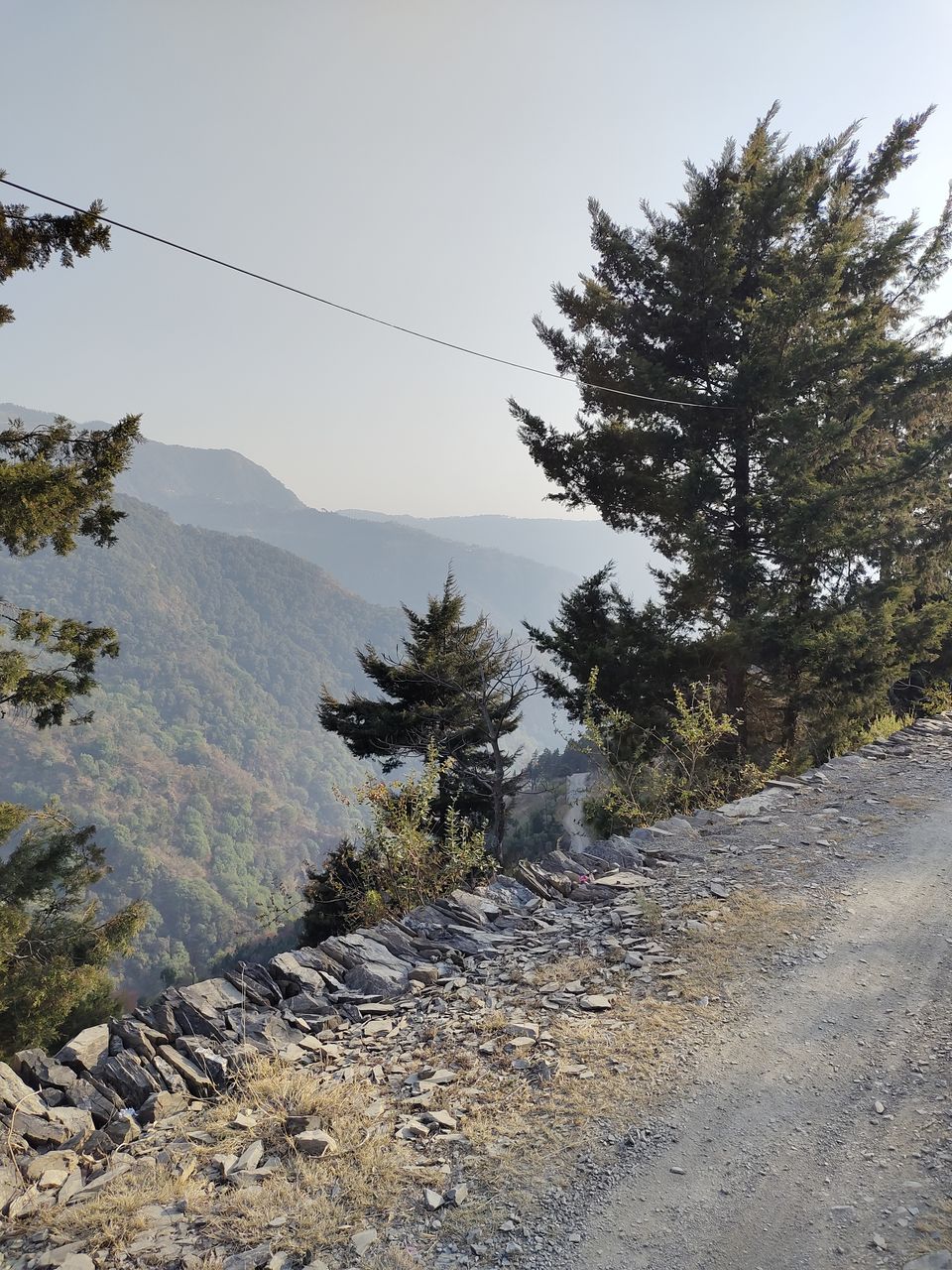Photo of Nature Drops, Pangoot, Uttarakhand, Republic of India by Jyoti Thakral