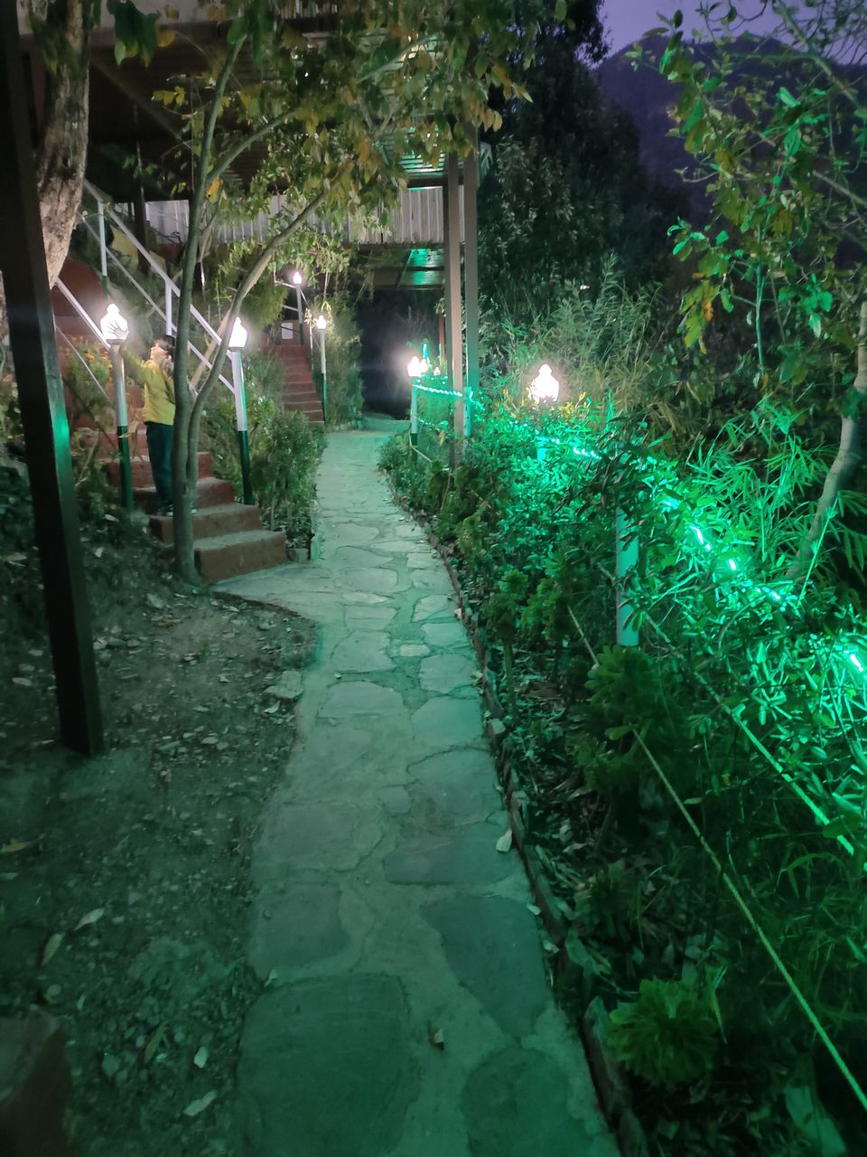 Photo of PANGOT| Nature Drops Resort | A complete guide to this hidden gem in Uttarakhand.... by Jyoti Thakral