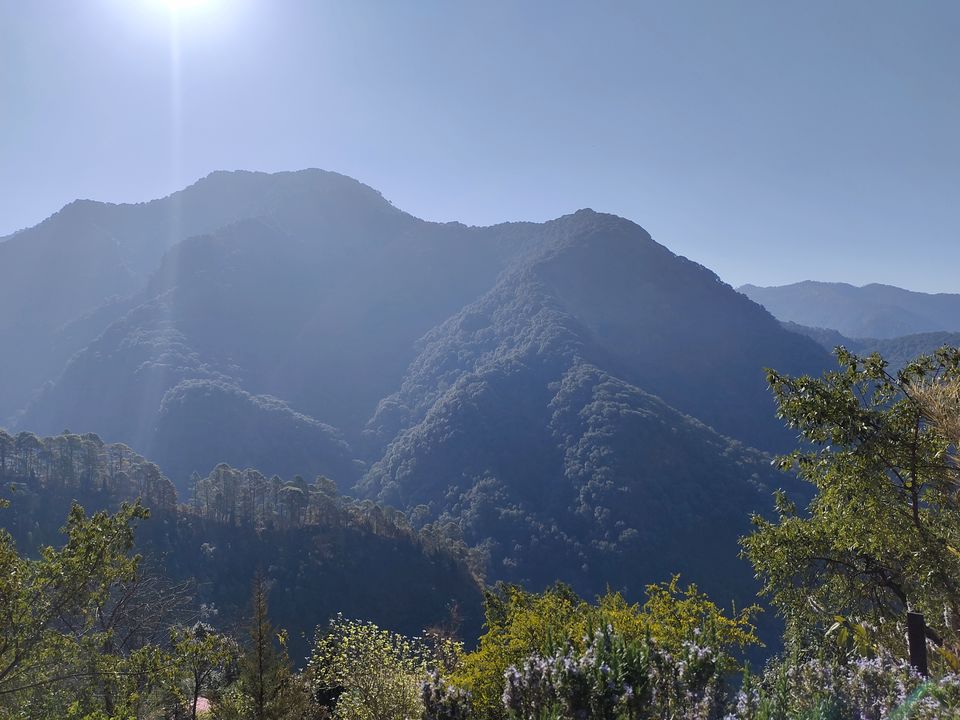 Photo of PANGOT| Nature Drops Resort | A complete guide to this hidden gem in Uttarakhand.... by Jyoti Thakral