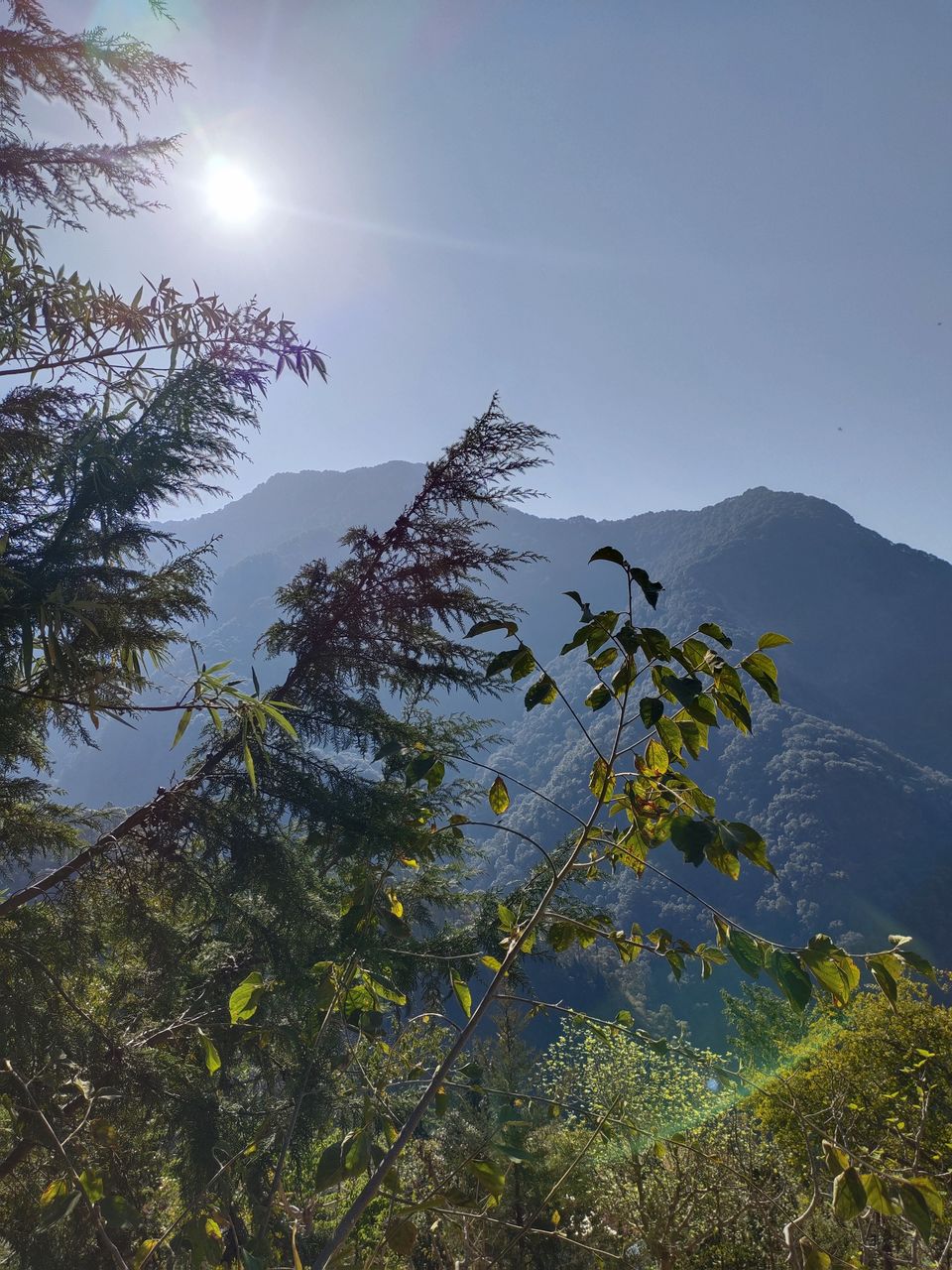 Photo of PANGOT| Nature Drops Resort | A complete guide to this hidden gem in Uttarakhand.... by Jyoti Thakral