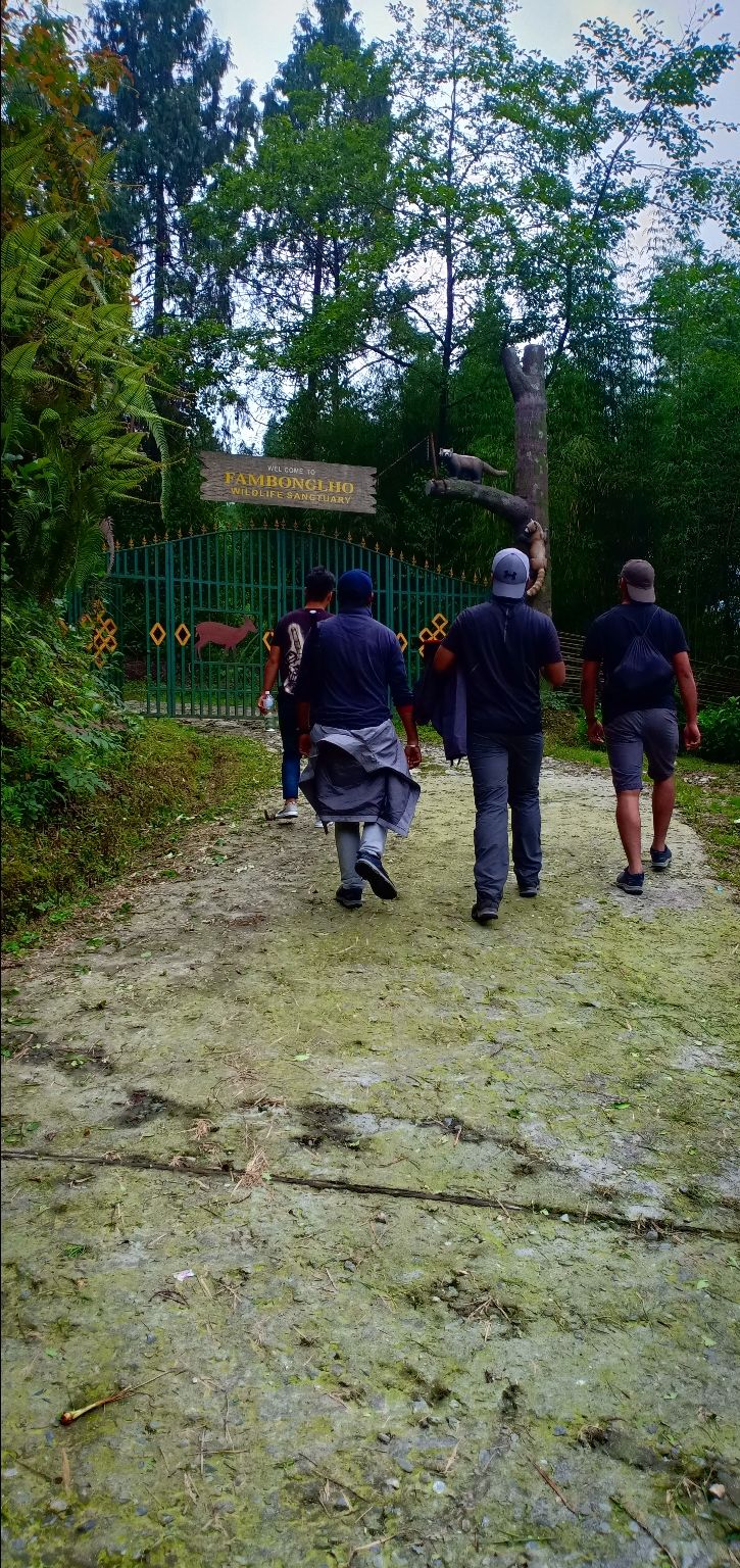Photo of 4 Bachelors, 24k Budget, 12 Days, Unlimited Fun, Amazing experience by Deepak Ganjigere Palaksha