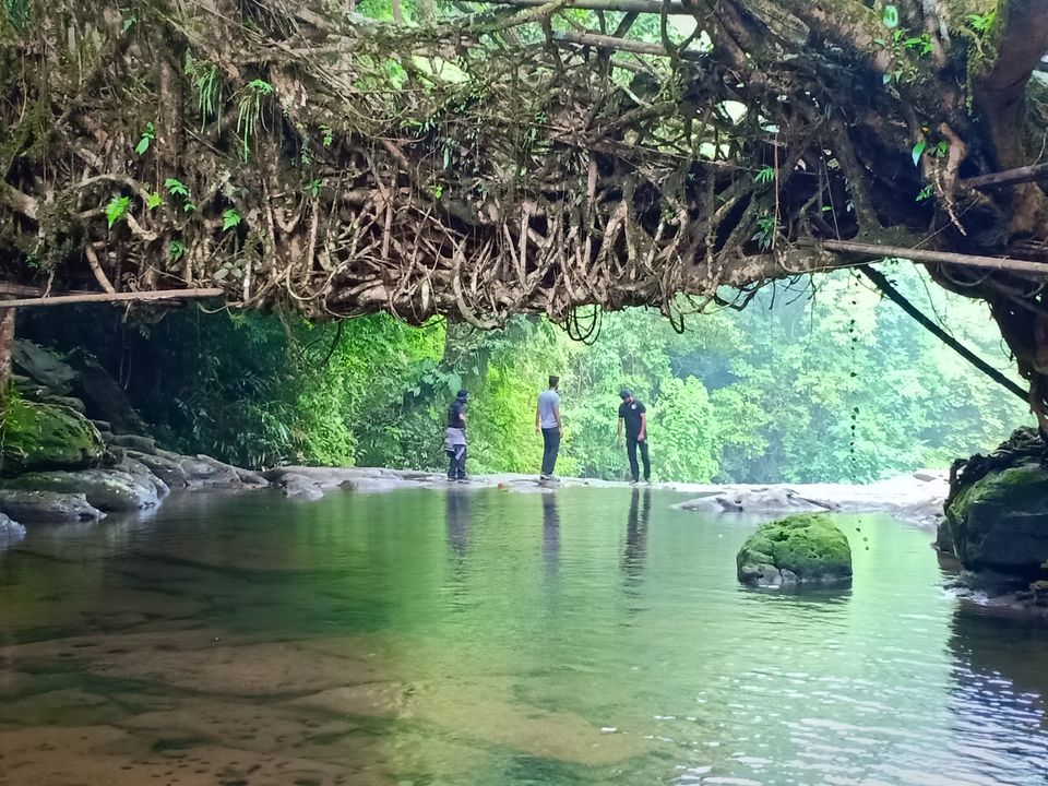 Photo of 4 Bachelors, 24k Budget, 12 Days, Unlimited Fun, Amazing experience by Deepak Ganjigere Palaksha