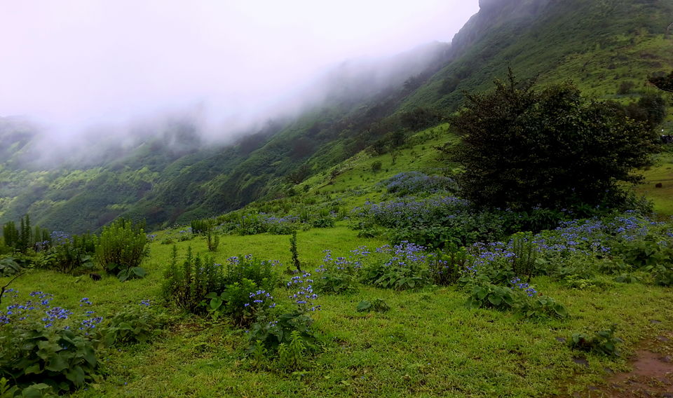 Photo of Embracing solitude at Raireshwar Fort by Aftab Damra