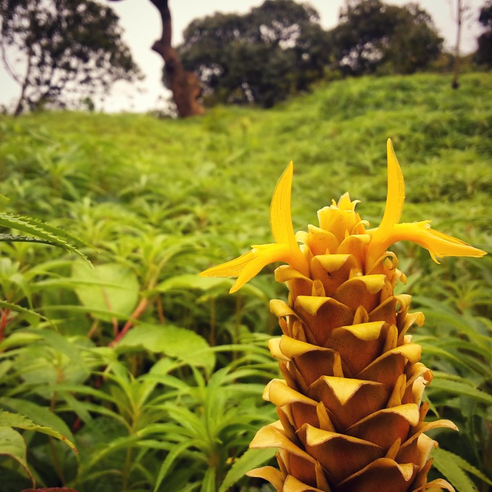Photo of Embracing solitude at Raireshwar Fort by Aftab Damra