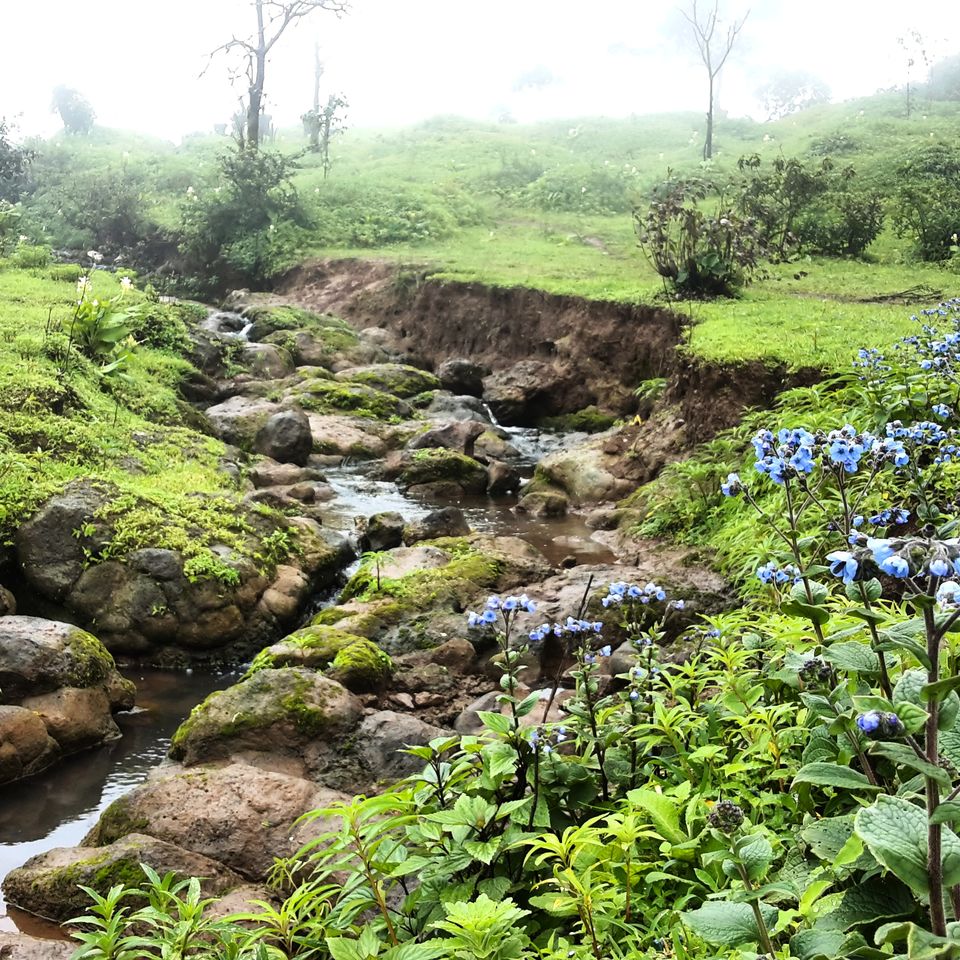 Photo of Embracing solitude at Raireshwar Fort by Aftab Damra