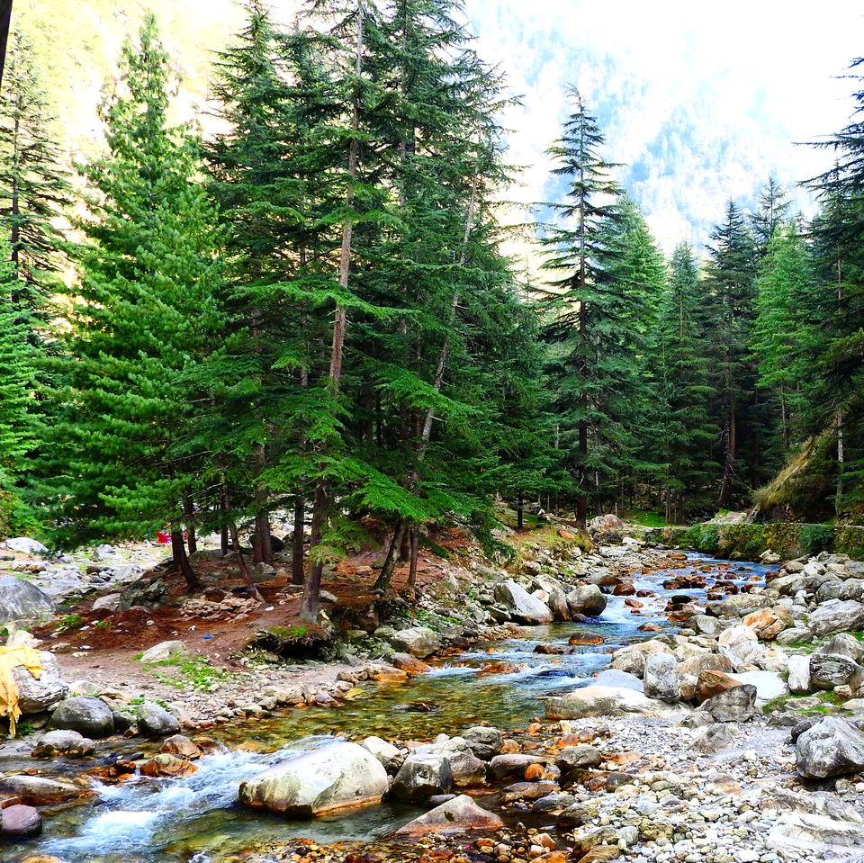 Photo of Kasol –Wanderlust Satisfied ! 5/8 by Aftab Damra